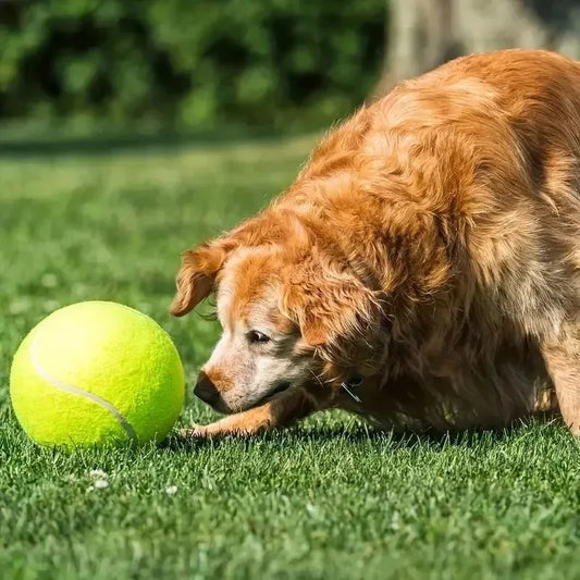 Balle de tennis géante