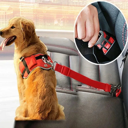 Ceinture de sécurité pour chien