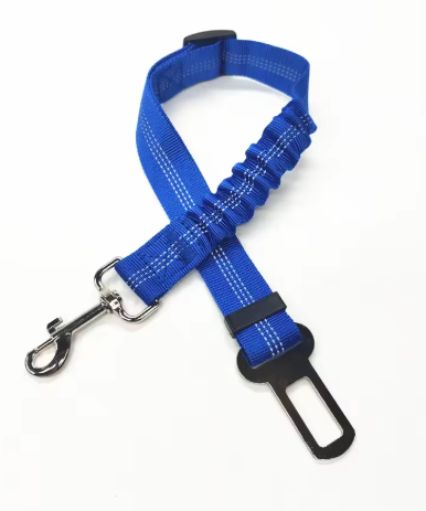 Ceinture de sécurité pour chien