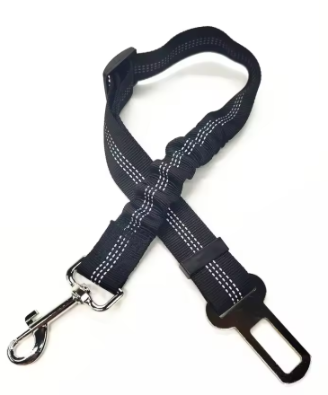 Ceinture de sécurité pour chien