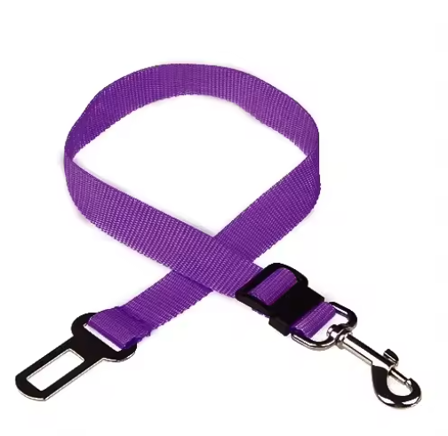 Ceinture de sécurité pour chien